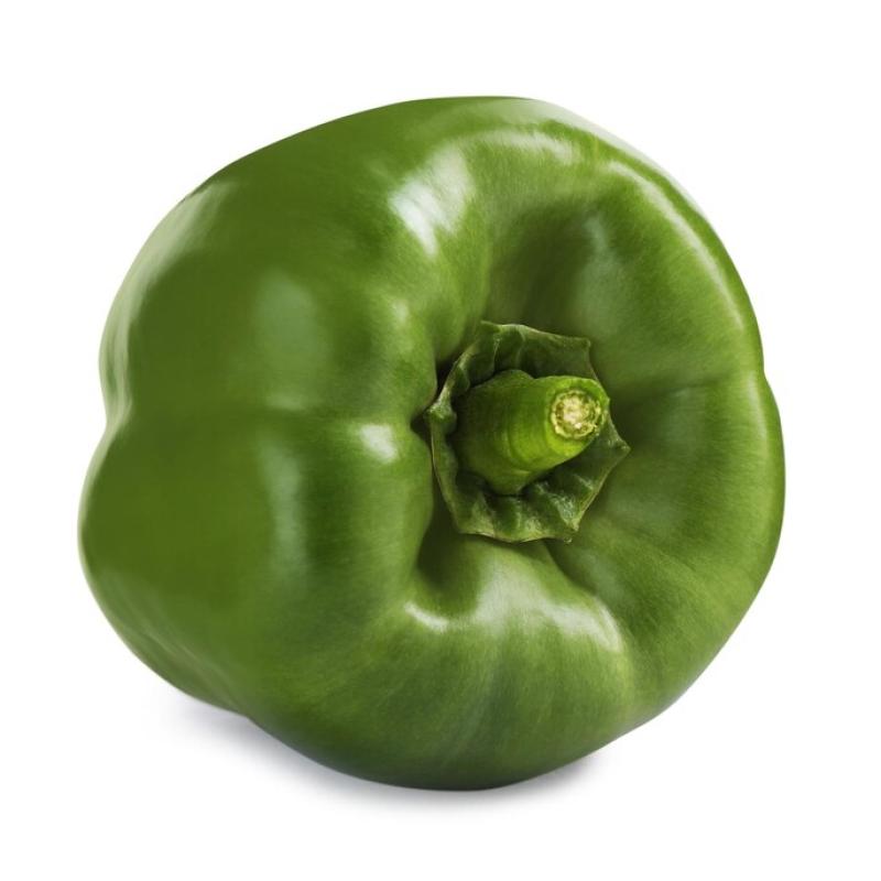 Capsicum